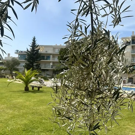 Appartement, Calme Avec Vue Piscine, 1km De La Plage, Olhos De Agua